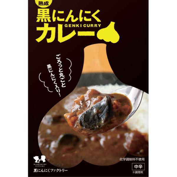 熟成黒にんにくカレー 自然共生 ガリプロ ポイント消化 食品 惣菜 レトルト カレー 黒にんにくが贅...