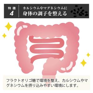 黒ごま小町 自然共生 バランス栄養 栄養調整食品の詳細画像4