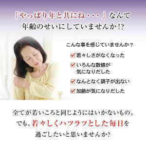 胡麻板 胡麻せんべい セサミン約7倍!リグナン...の詳細画像1
