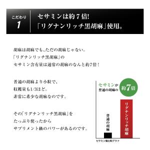 胡麻板 胡麻せんべい セサミン約7倍!リグナン...の詳細画像4