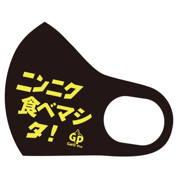 ガリプロマスク 黒 自然共生 ガリプロ マスク 健康 衛生日用品 避難用具 ポイント消化