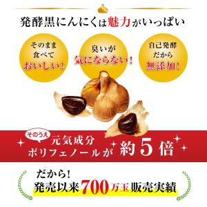 発酵黒にんにく 中粒バラ 200g 自然共生 ...の詳細画像3