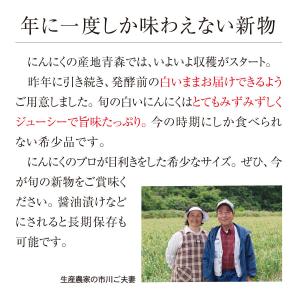 青森県産にんにく2Lサイズ 1kg 10玉前後...の詳細画像1