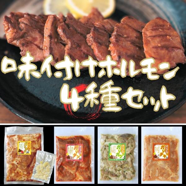 【初回限定・送料無料】味付けホルモン4種セット