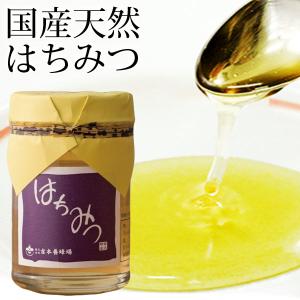 アカシア純粋はちみつ（500g）ワンプッシュタイプボトル 鈴木養蜂場