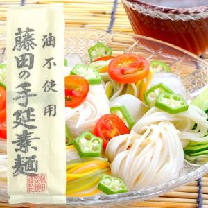 藤田の手延素麺（300g（50g×6束）） 藤田製麺｜shizenkan