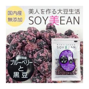 SOY美EAN（ソイビーン）ブルーベリーと黒豆（68g） 宮本邦製菓｜shizenkan
