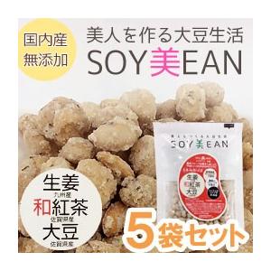 SOY美EAN（ソイビーン）生姜・和紅茶・大豆（72g） 5袋セット 宮本邦製菓｜shizenkan