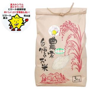 熊本県産 無農薬 ピロール米 白米 にこまる（3kg） 上村夢農園 2023年度産｜shizenkan