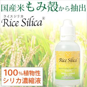 植物性シリカ濃縮液 ライスシリカ（50ml） クレディ｜shizenkan
