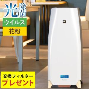 空気清浄機 ブルーデオ M型〔MC-M102〕28畳用 空気消臭除菌装置 マスクフジコー 交換フィルター付き｜shizenkan