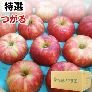 特選 無袋栽培つがる 青森産りんご 中玉（約5kg）無化学肥料 桜庭りんご農園 直送につき代引・同梱不可 2024年8月末より発送予定｜shizenkan