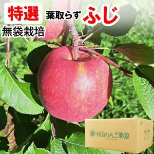 無農薬りんご「紅玉」9Kg〜10kg 約36〜50個前後 親子2代無農薬栽培
