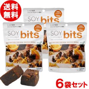 SOY Concept bits(ソイコンセプト...の商品画像