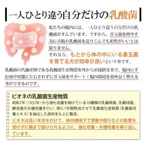 乳酸菌生産物質ビオネB スティック(液体)(1...の詳細画像2