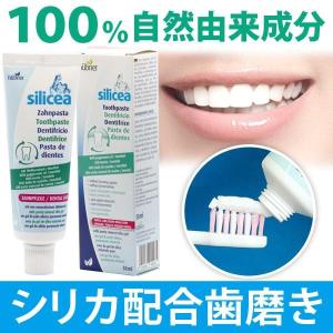 MODERE モデーア トゥースペースト（歯磨き）175g 送料無料