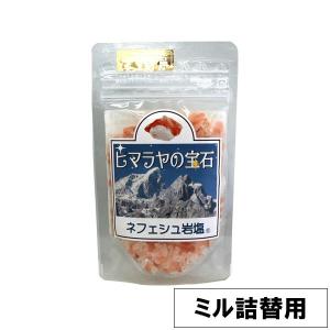 岩塩ヒマラヤの宝石 ミル詰替用 岩塩（100g） ホビー｜shizenkan