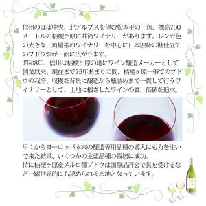 いづつワイン ナイヤガラ白・甘口(720ml)...の詳細画像3