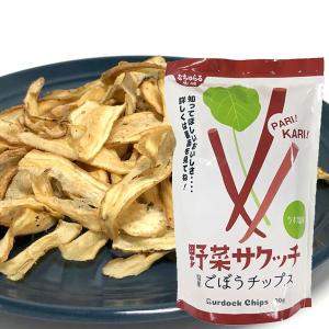 なちゅらる生活 野菜サクッチ国産ごぼうチップス（30g） イー・有機生活｜shizenkan