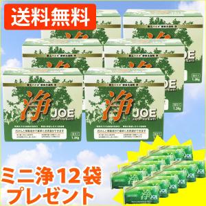 善玉バイオ洗剤浄 JOE （1.3kg）（計量用スプーン付） 6個セット エコプラッツ ミニ浄（30g）12袋プレゼント｜shizenkan