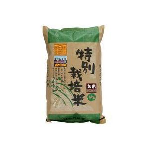 特別栽培米・新篠津あやひめ 玄米（5kg） ムソー 2023年度産｜shizenkan