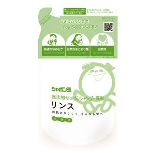 CAC化粧品 CAC エヴィデンスヘア＆ボディシャンプー400mlレフィル（詰