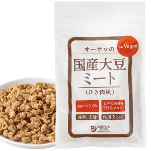 オーサワの国産大豆ミート（ひき肉風）（100g） オーサワジャパン