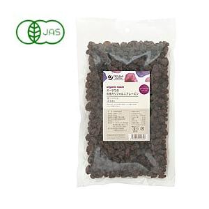 オーサワジャパン オーサワの有機カリフォルニアレーズン（500g