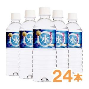 龍泉洞の水（500ml） 24本セット 岩泉ホールディングス