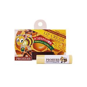 RENECELL ウォッシュパウダー（酵素洗顔料）80g ｜ ルネセル 洗顔 酵素