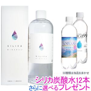 水溶性珪素 シリカミネラル（500ml） グッドフェイス シリカ炭酸水12本さらに選べるプレゼント｜shizenkan