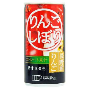 ゴールドパック 信州・安曇野りんごジュース ストレート 190g×60缶 缶