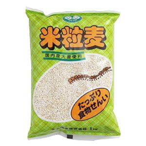ビオーム プロビオティック17.36g(28袋) ビフィズス菌・乳酸菌含有食品