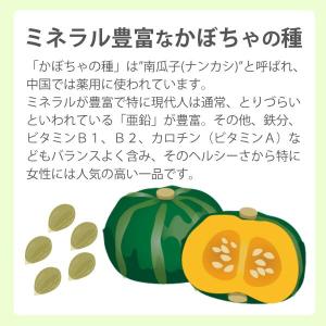 かぼちゃ畑(120g) 6袋セット まるもの詳細画像1