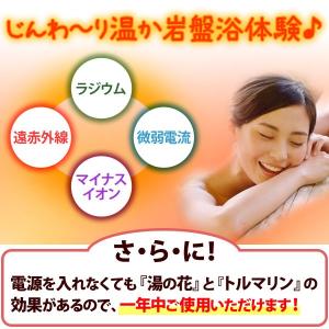 玉川温泉の岩盤浴ふとんDX ダブル 山甚物産 ...の詳細画像2