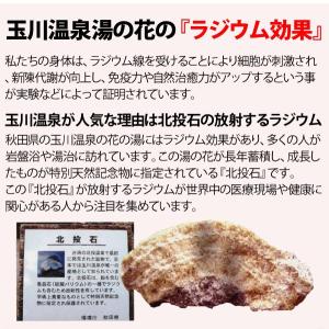玉川温泉の岩盤浴ふとんDX ダブル 山甚物産 ...の詳細画像3