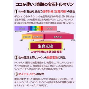 玉川温泉の岩盤浴ふとんDX ダブル 山甚物産 ...の詳細画像4
