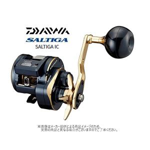 DAIWA(釣り) ダイワ 21 ソルティガ IC 300HL-SJ (左ハンドル DAIWA(釣り) ダイワ 21 ソルティガ IC 300HL-SJ (左ハンドル