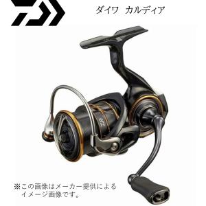 DAIWA（釣り） 【目玉商品】ダイワ 21 カルディア FC LT2500S