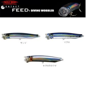 Fish Arrow（フィッシュアロー） RiSER JACK JR.(ライザージャック JR
