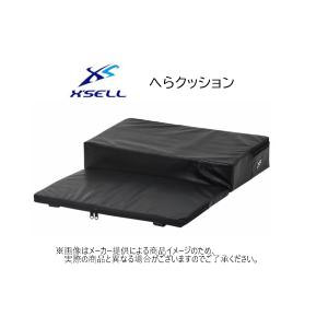 VARIVAS（バリバス） '24 折りたたみクッション (釣り用品・座る釣りに