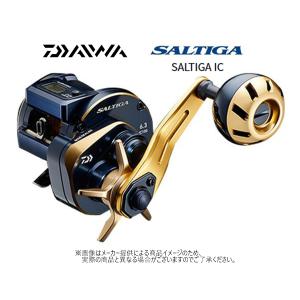 DAIWA（釣り） ダイワ '21 SALTIGA IC(ソルティガ IC) 300-DH
