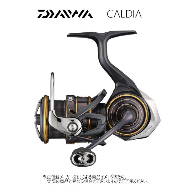 ダイワ　&apos;21 CALDIA(カルディア)　 LT 2500S　(スピニングリール)(エギング・バス...