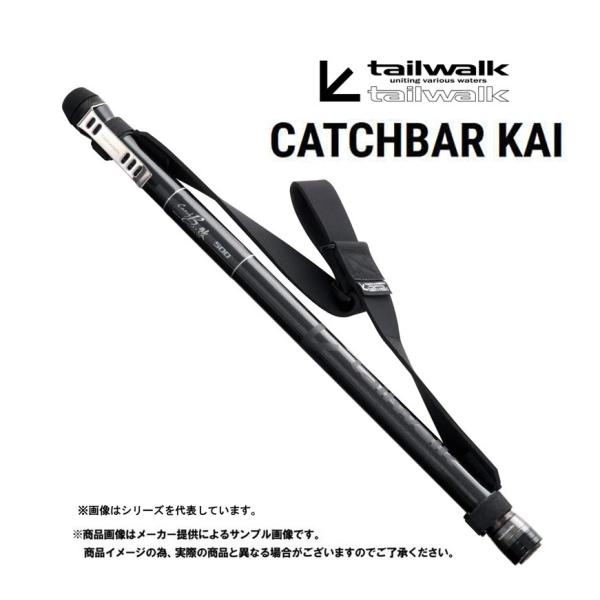 Tailwaik(テイルウォーク)　CATCHBAR 改(キャッチバー カイ)　500　(振出)(小...