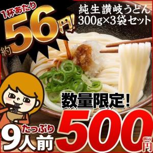 入荷待ち お試し うどん 讃岐うどん4人前セット(240ｇ×2) 送料無料 本場讃岐の打ち立て生うどん 香川 ポイント消化 300ポイント