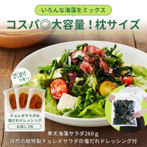 メガ盛り 寒天海藻サラダ 260g 味噌汁の具...の詳細画像1