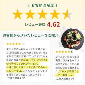 メガ盛り 寒天海藻サラダ 260g 味噌汁の具...の詳細画像2