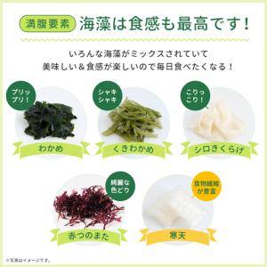 メガ盛り 寒天海藻サラダ 260g 味噌汁の具...の詳細画像4