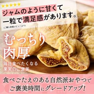 ドライフルーツ いちじく ドライいちじく 送料...の詳細画像2