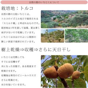 ドライフルーツ いちじく ドライいちじく 送料...の詳細画像4